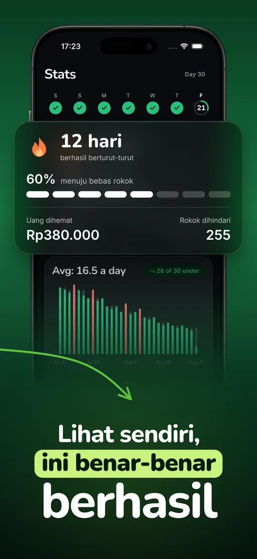 Layar statistik Smoless: 12 hari berturut-turut bertahan, 60% perjalanan menuju bebas rokok, $121 tersimpan, 255 batang tidak dihisap, dan grafik 30 hari yang menurun