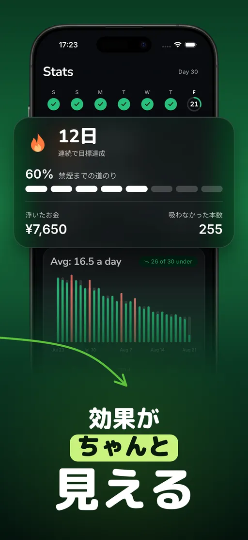 Smolessの統計画面。12日連続達成、禁煙まで60%、121ドルを節約、255本吸わなかった、30日間のグラフが下降している