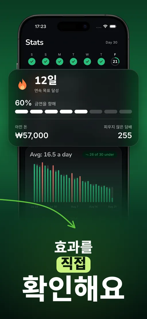 Smoless 통계 화면: 12일 연속 달성, 금연까지 60% 진행, $121 절약, 피우지 않은 담배 255개비, 30일 동안 내려가는 그래프가 표시되어 있어요