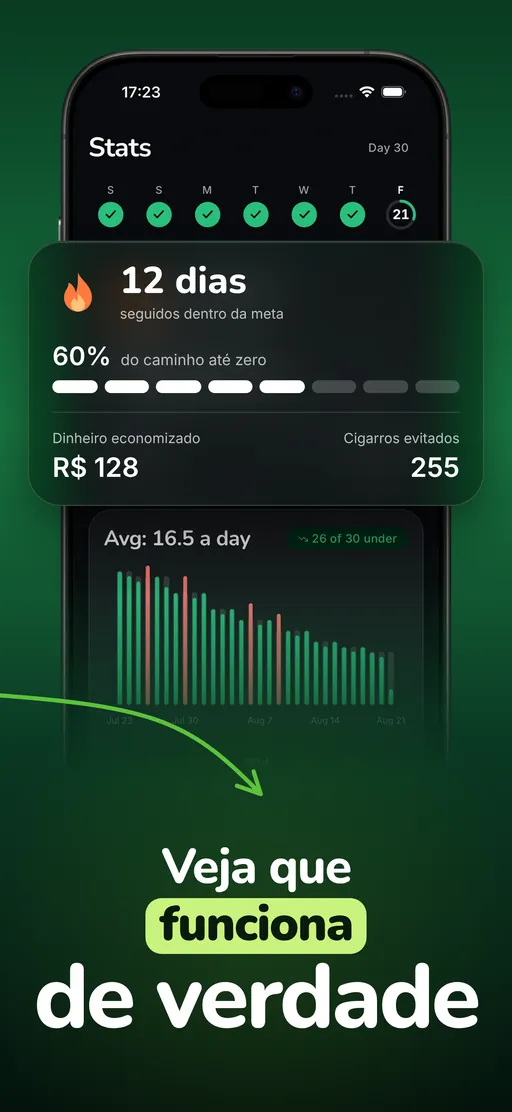 Tela de estatísticas do Smoless: 12 dias seguidos mantidos, 60% do caminho até ficar sem fumar, US$ 121 guardados, 255 cigarros não fumados e um gráfico de 30 dias em queda